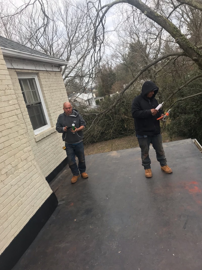 Professional Roofing Contractors